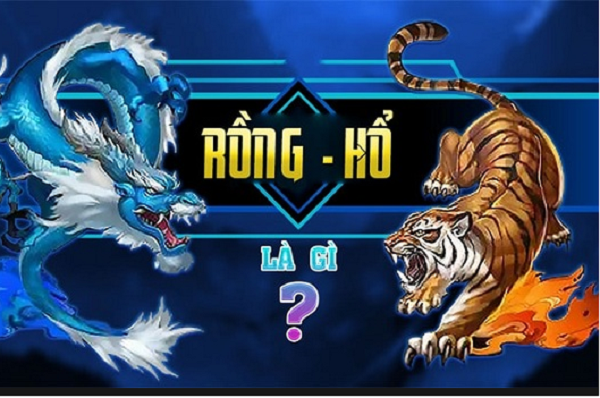 Đôi nét giới thiệu về Rồng Hổ 3BET