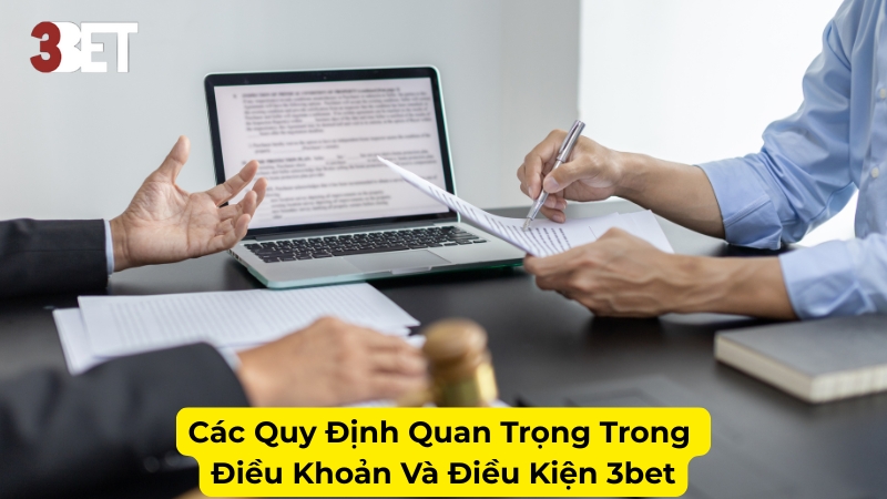 Các Quy Định Quan Trọng Trong Điều Khoản Và Điều Kiện 3bet