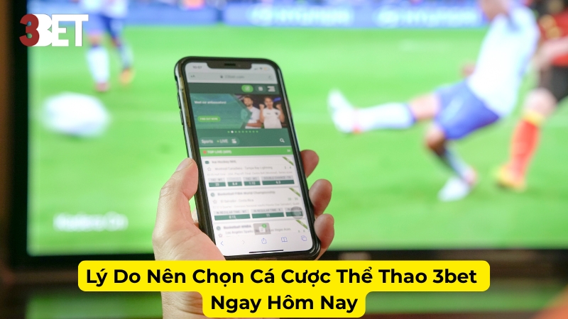 Lý Do Nên Chọn Cá Cược Thể Thao 3bet Ngay Hôm Nay